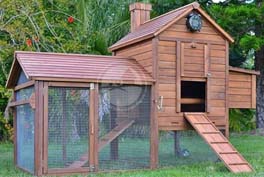 taj mahal backyard chicken coop