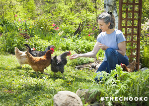 woman feeding backyard pet chickens