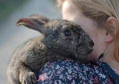 Woman holding a pet rabbit