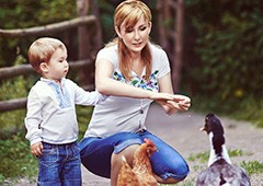 mum and son feed their backyard chickens