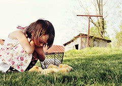 Young girl caring for baby chickens