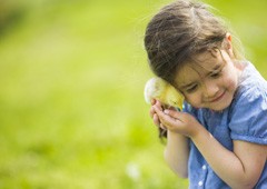 Young girl hugging baby chicken
