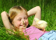 Young girl laughing with baby chicken