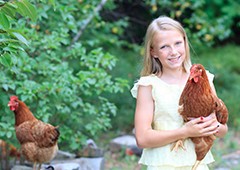 Young girl holding isa brown chicken in backyard