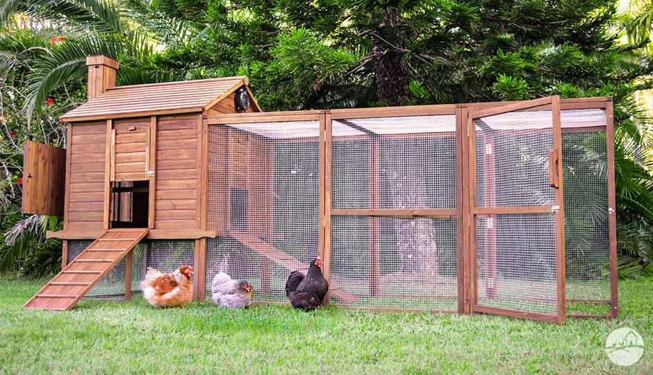 Chicken Coops