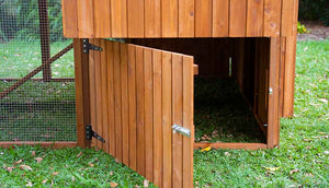 outdoor chicken coop with multiple access points for chickens