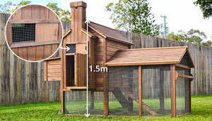 coop with windows for ventilation and chicken comfort