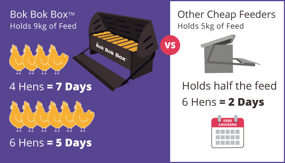 bok bok box feeder and drinker comparison