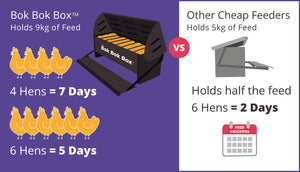 bok bok box feeder and drinker comparison