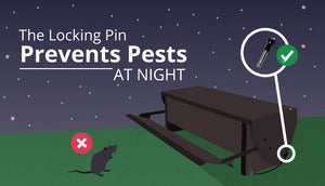 treadle feeder and drinker lid locking pin infographic