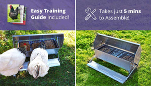 feeder and drinker chicken training guide 