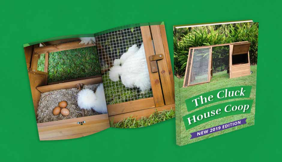 cluck house chicken coop brochure