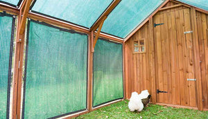 interior view of mansion coop and chicken run with shade cloth covers