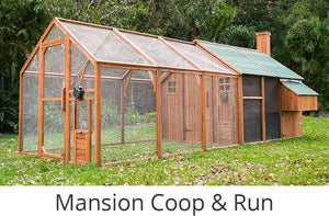 mansion chicken coop and run