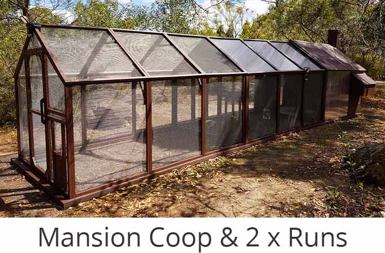 mansion chicken coop with two runs