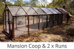 mansion chicken coop with two runs