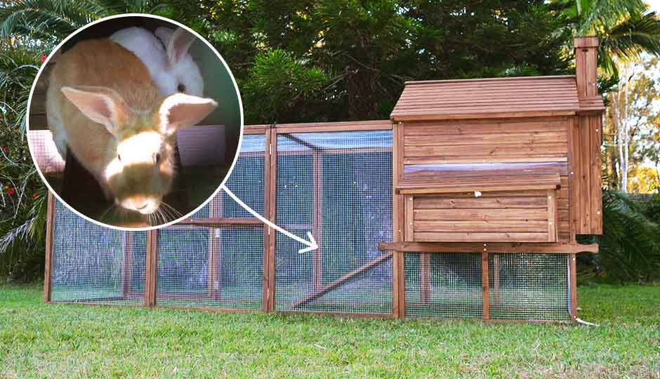 Cozy Rabbit Den The Rabbit Den | The Biggest Rabbit Hutch Available!