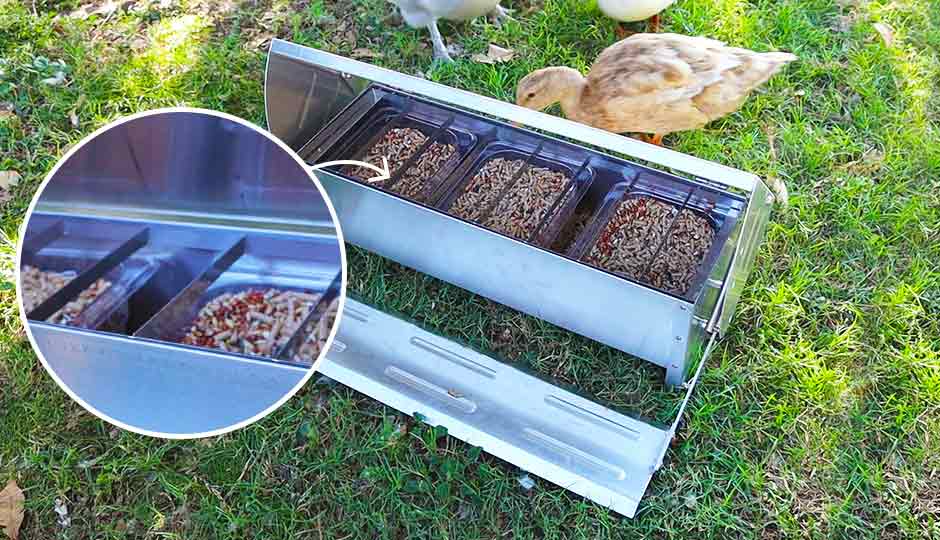 chicken treadle feeder and drinker metal grill detail