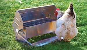 Soft-Close Chicken Feeder & Drinker $129