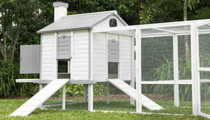 penthouse chicken coop with automatic door opener