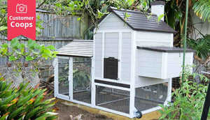 grey and white chicken coop with foundation sleepers