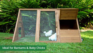 cluck house chicken coop with nesting box door open and silkie hens inside