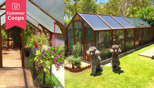 mansion chicken coop with insulated roofing