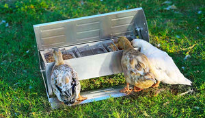 Soft-Close Chicken Feeder & Drinker $129