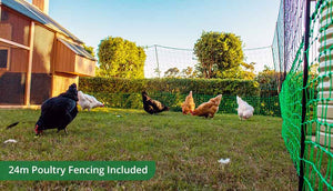 free range pack includes 24m poultry fencing