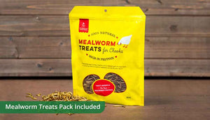 free range pack includes mealworm treats for chickens 