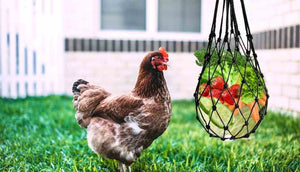 Hanging Chicken Feeder Net