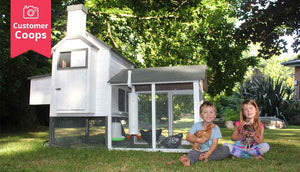 kids sitting outside with chicken pets near coop