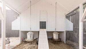 white painted interior mansion chicken coop