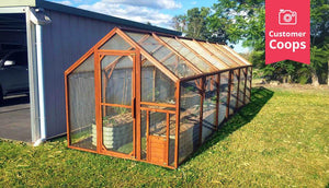 the mansion run chicken coop as a vegetable garden