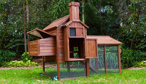 chicken hen house with run and nesting box