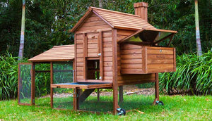 outdoor hen house with nesting box and cleaning tray