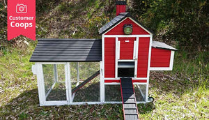 red painted customer coop with white accent colour