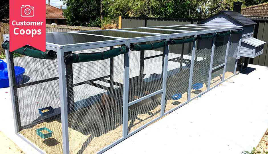 https://www.backyardchickencoops.com.au/cdn/shop/products/penthouse-chicken-coop-shade-cloth_f70f39c7-f314-4a23-83ba-b2dfbb172c17_1000x.jpg?v=1572935313
