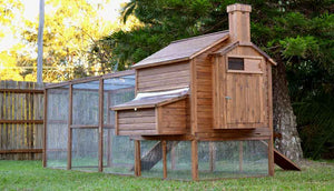 back view piggy paradise guinea pig hutch