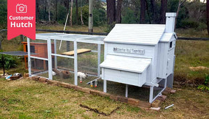 painted white rabbit den enclosure