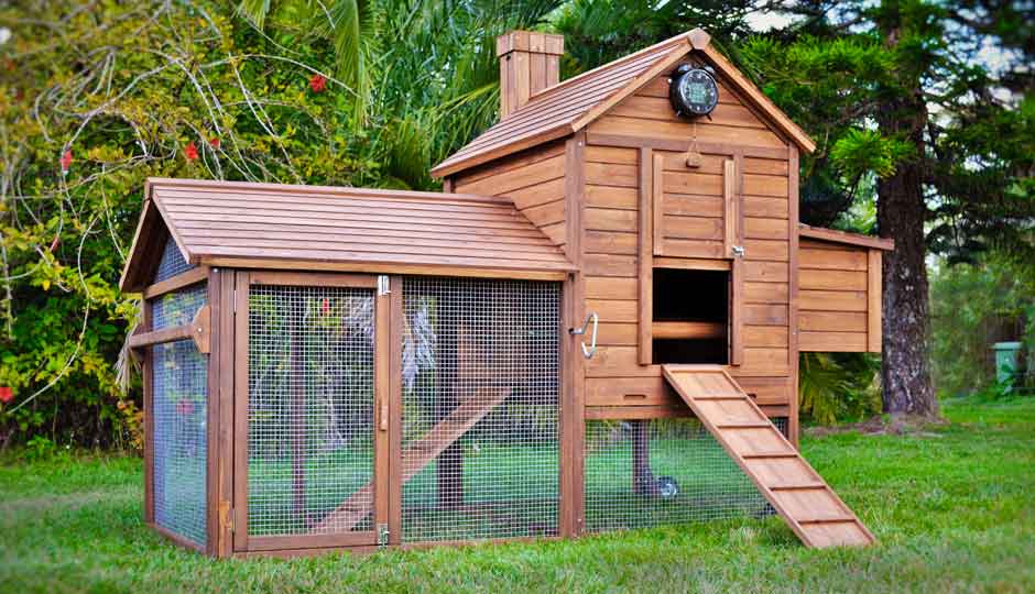 Piggy Parlour Guinea Pig Hutches