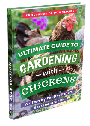 Ultimate Guide to Gardening with Chickens eBook